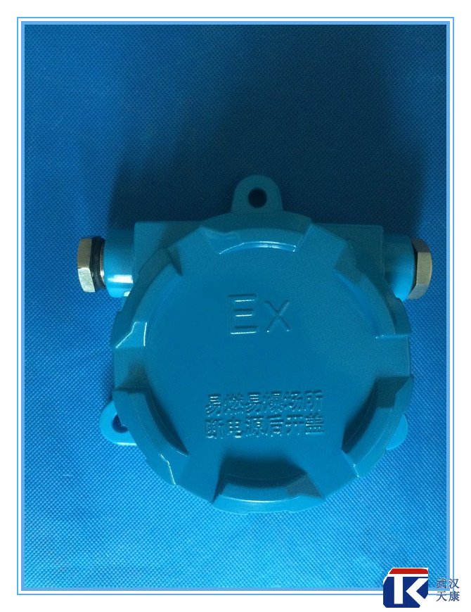 壁掛式防爆熱電阻/pt100、4-20mA輸出