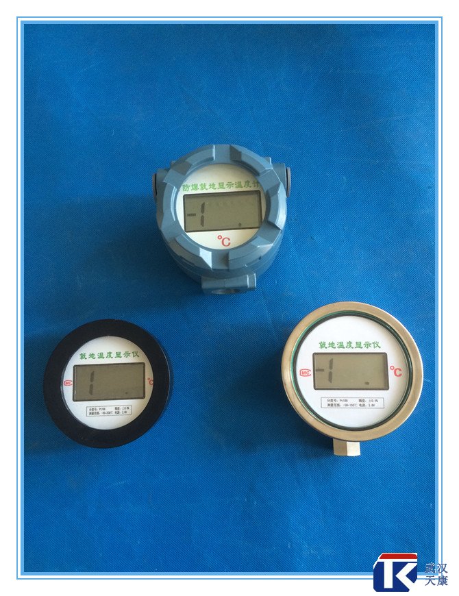 無(wú)源數(shù)顯溫度傳感器、無(wú)需外接電源、鋰電池供電
